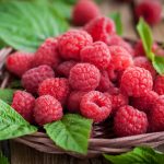 Maline