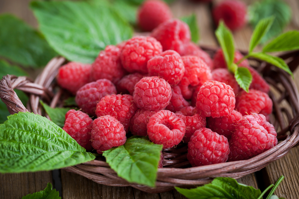 Maline