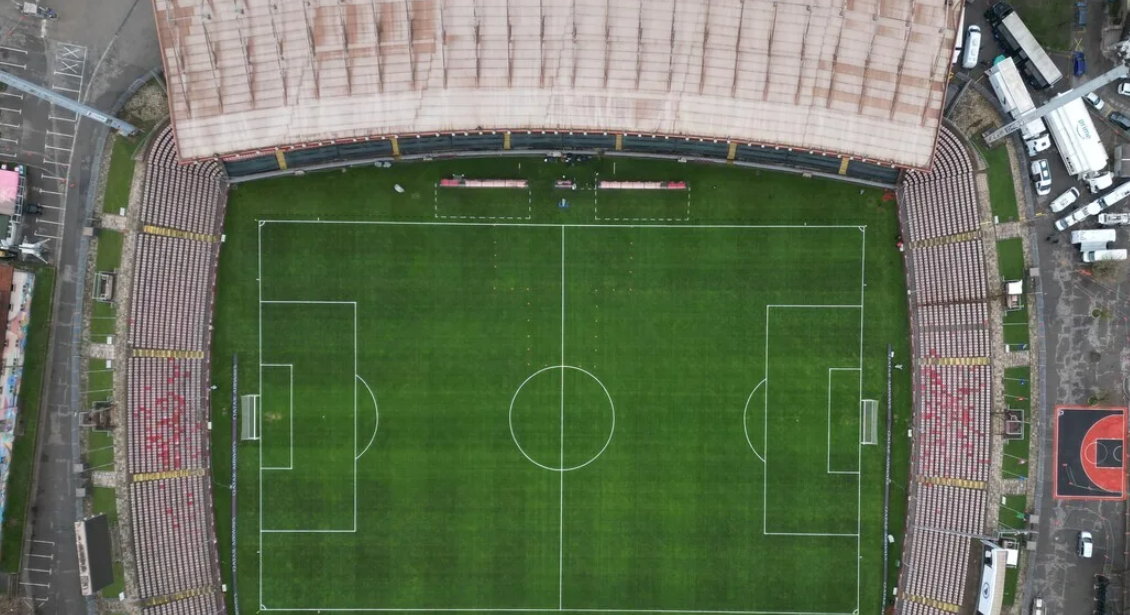 Bilino polje